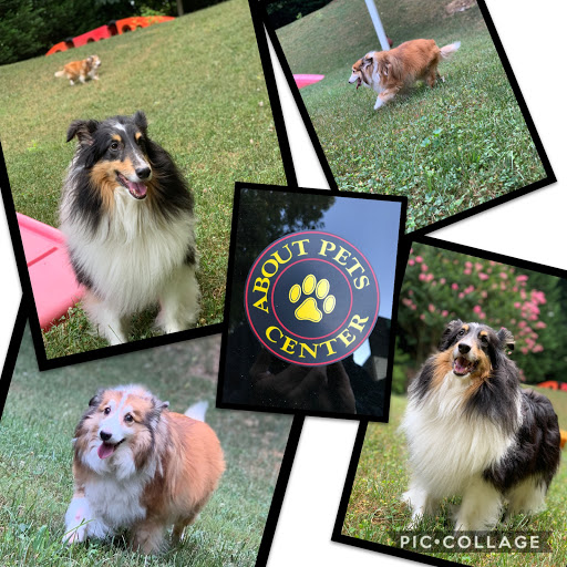 Pet Boarding Service «About Pets Center», reviews and photos, 1604 Conehurst Blvd, Salem, VA 24153, USA