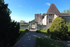 Château de Born Gourmandises Pruneaux d'Agen IGP image