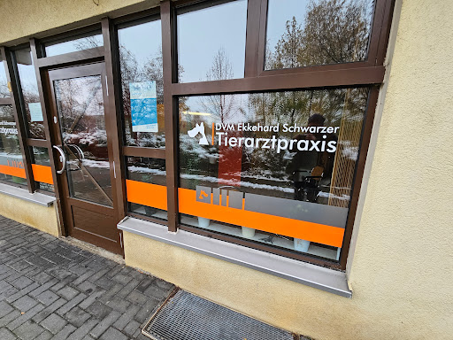 Ekkehard Schwarzer unter Cottbus, 