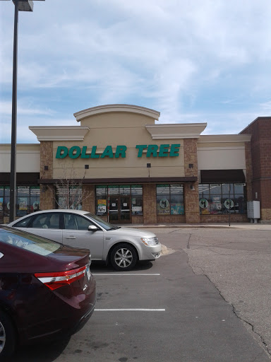 Dollar Store «Dollar Tree», reviews and photos, 17730 Kenwood Trail, Lakeville, MN 55044, USA