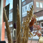 Photo n°6 de l'avis de Noa. fait le 20/10/2023 à 07:43 sur le  Küchenwerkstatt Juist à Juist