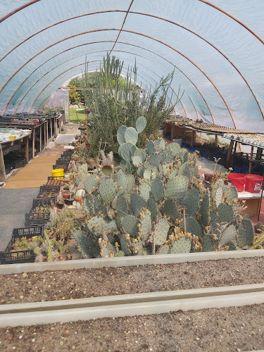 Hozzászólások és értékelések az Kaktusz Múzeum-ról