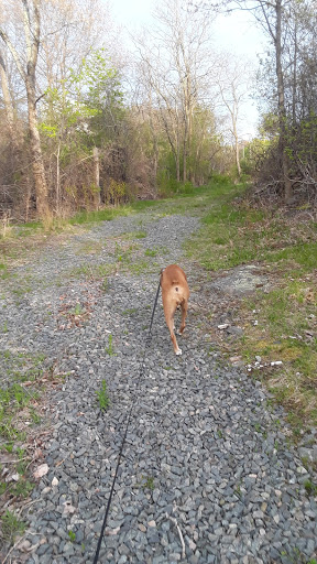 Park «McGrath Park», reviews and photos, 46 Marlborough Rd, Salem, MA 01970, USA