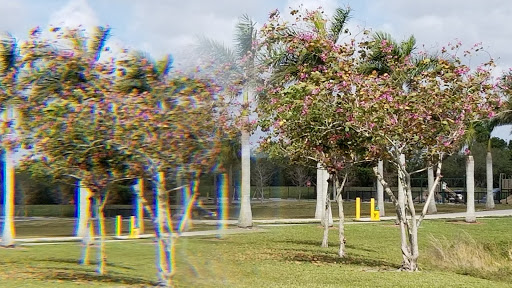 Park «Miramar Regional Park», reviews and photos, 16801 Miramar Pkwy, Miramar, FL 33027, USA