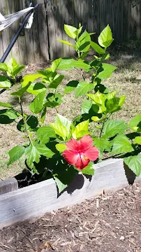 Sarah Jay - Freelance writer - Car repair in , Denton - Rated 0.0/5