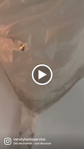 Plumber «Varsity Plumbing», reviews and photos, 1610 Ocean Ave, Bohemia, NY 11716, USA