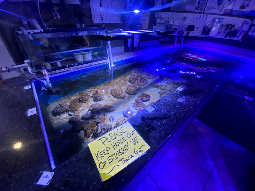 Tropical Fish Store «Best Fish», reviews and photos, 1335 N Doctor M.L.K. Dr, Milwaukee, WI 53212, USA