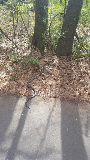 Bicycle Rental Service «Silver Comet Cycles», reviews and photos, 4342 Floyd Rd SW, Mableton, GA 30126, USA