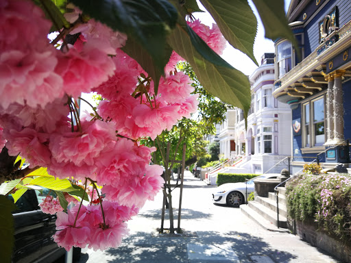 Historical Landmark «Painted Ladies», reviews and photos, Steiner St, San Francisco, CA 94117, USA