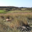 Cleveland Golf Links