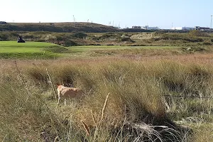 Cleveland Golf Links image