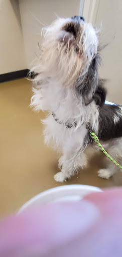 Pet Supply Store «Pet Supplies Plus», reviews and photos, 1791 W Columbia Ave, Battle Creek, MI 49015, USA