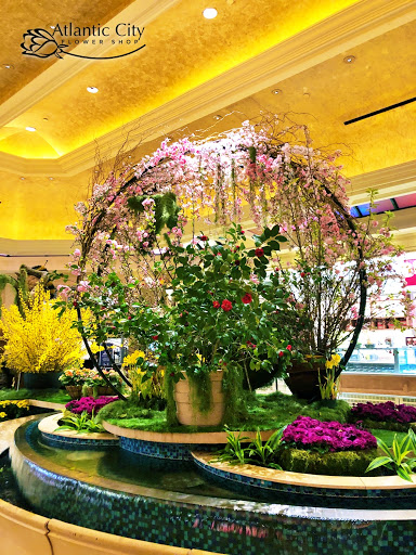 Florist «Atlantic City Flower Shop», reviews and photos, 2329 Atlantic Ave, Atlantic City, NJ 08401, USA