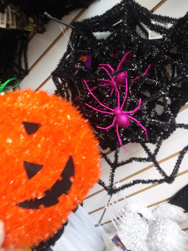 Dollar Store «Dollar Tree», reviews and photos, 393 Plainfield Commons Dr, Plainfield, IN 46168, USA