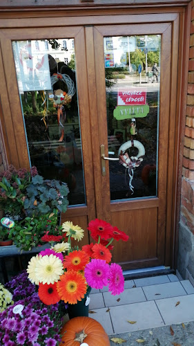 Értékelések erről a helyről: Margó Virág- és Ajándékbolt, Hódmezővásárhely - Virágárus