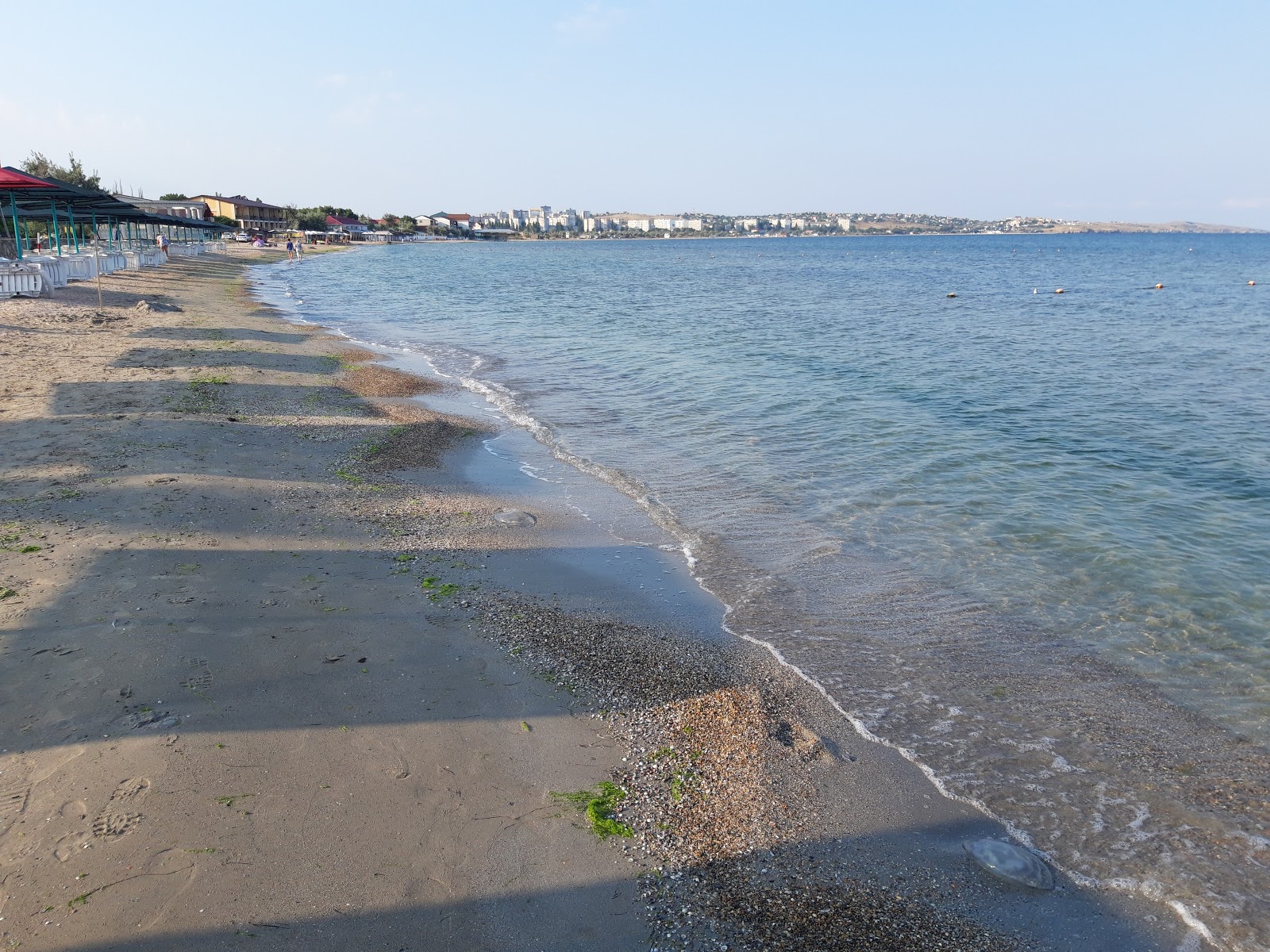 Foto di Mysovoye Beach con abbastanza pulita livello di pulizia