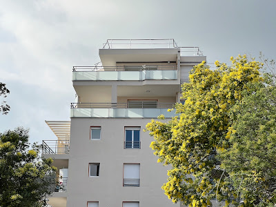 Anna PONS Immobilier Hyères Capifrance à Hyères