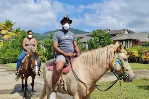 Rainforest Riding image