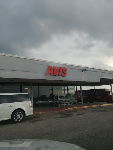 Payless Car Rental