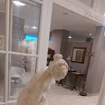 Photo n°1 de l'avis de monia.c fait le 14/07/2023 à 20:03 sur le  Villa Leri à Montescudo-Monte Colombo