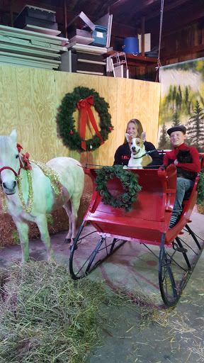 Pet Supply Store «Pequannock Feed & Pet Supply», reviews and photos, 85 Marshall Hill Rd, West Milford, NJ 07480, USA