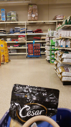 Pet Supply Store «PetSmart», reviews and photos, 4005 Airport Fwy, Irving, TX 75062, USA