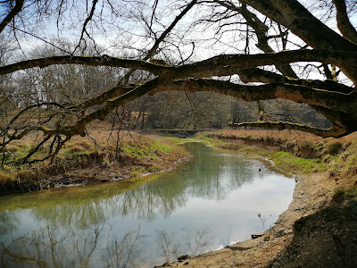 Parc de Châteauvillain à Châteauvillain