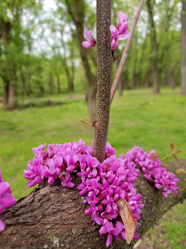 History Museum «Benjamin Banneker Historical», reviews and photos, 300 Oella Ave, Catonsville, MD 21228, USA