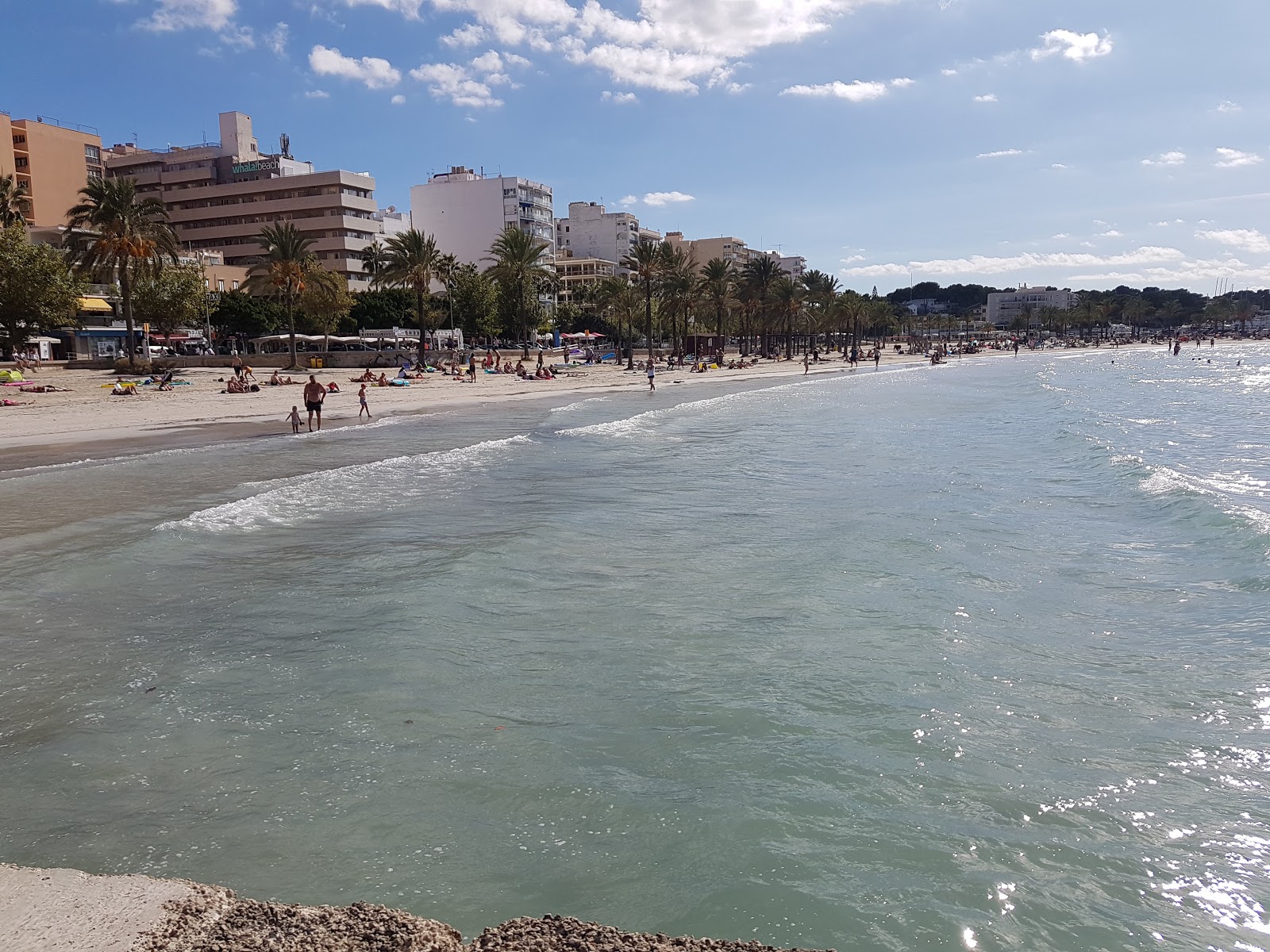 Fotografija Playa de Palma z dolg zaliv