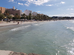 Playa de Palma'in fotoğrafı çok temiz temizlik seviyesi ile