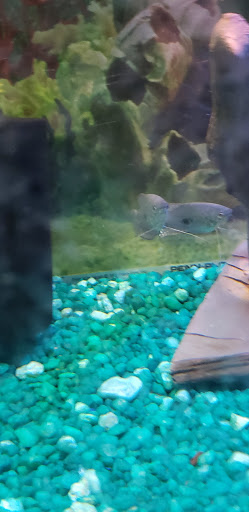 Pet Supply Store «OddBallPetFactory.com», reviews and photos, 8485 Plaza Blvd NE, Spring Lake Park, MN 55432, USA