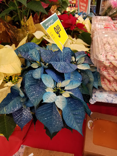 Supermarket «Farm Fresh - N. Battlefield», reviews and photos, 701 N Battlefield Blvd A, Chesapeake, VA 23320, USA