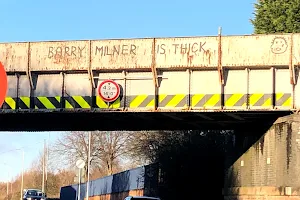 Barry Milner Bridge image