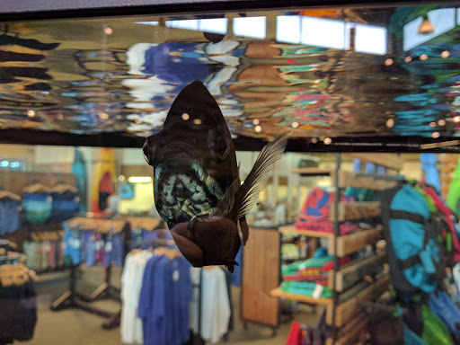 Clothing Store «L.L. Bean», reviews and photos, 280 School St, Mansfield, MA 02048, USA