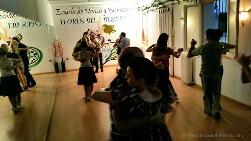 Escuela de Danza y Bienestar Flores del Desierto en Madrid