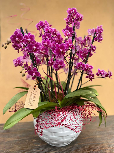 Quídea boutique floral – Comitán