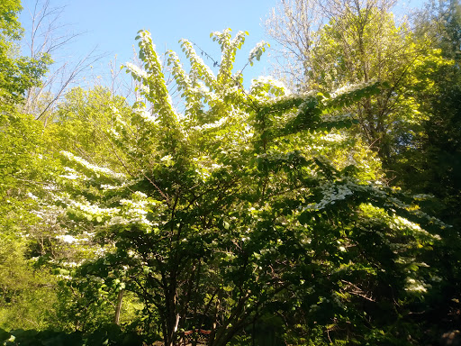 Gift Shop «Stonehedge Gardens», reviews and photos, 51 Dairy Rd, Tamaqua, PA 18252, USA