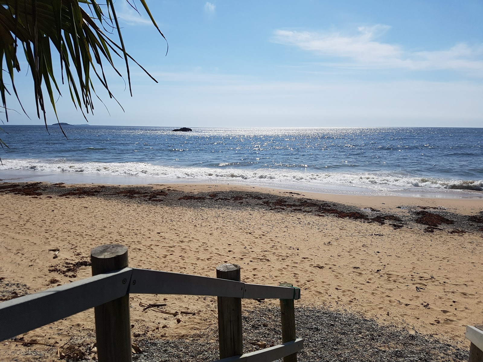 Korora Beach'in fotoğrafı vahşi alan