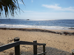 Zdjęcie Korora Beach dziki obszar