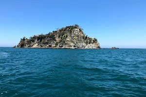 Pelican Island. image