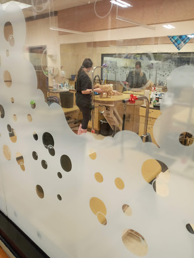 Pet Supply Store «PetSmart», reviews and photos, 1125 Quentin Rd, Lebanon, PA 17042, USA