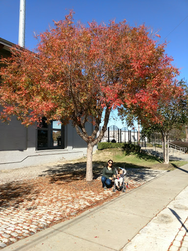 Baseball Club «Montgomery Biscuits Professional Baseball, L.L.C.», reviews and photos, 200 Coosa St, Montgomery, AL 36104, USA