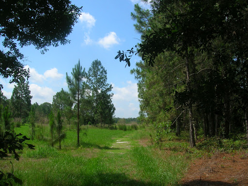 Nature Preserve «Gator Creek Reserve», reviews and photos, 9725 US Hwy 98 N, Lakeland, FL 33809, USA