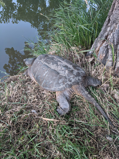 Golf Course «Applewood Golf Course», reviews and photos, 14001 W 32nd Ave, Golden, CO 80401, USA