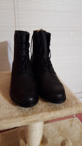 Tack Shop «Green Mountain Horse & Tack», reviews and photos, 1327 Sharon Copley Rd, Wadsworth, OH 44281, USA