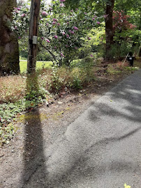Pablo G Landscaping LLC - Photo 2 - Car repair in , Bremerton