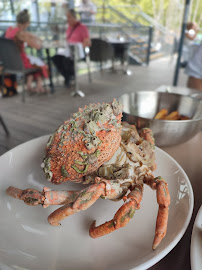 Vrais crabes du Restaurant de fruits de mer Merci à Bègles - n°8