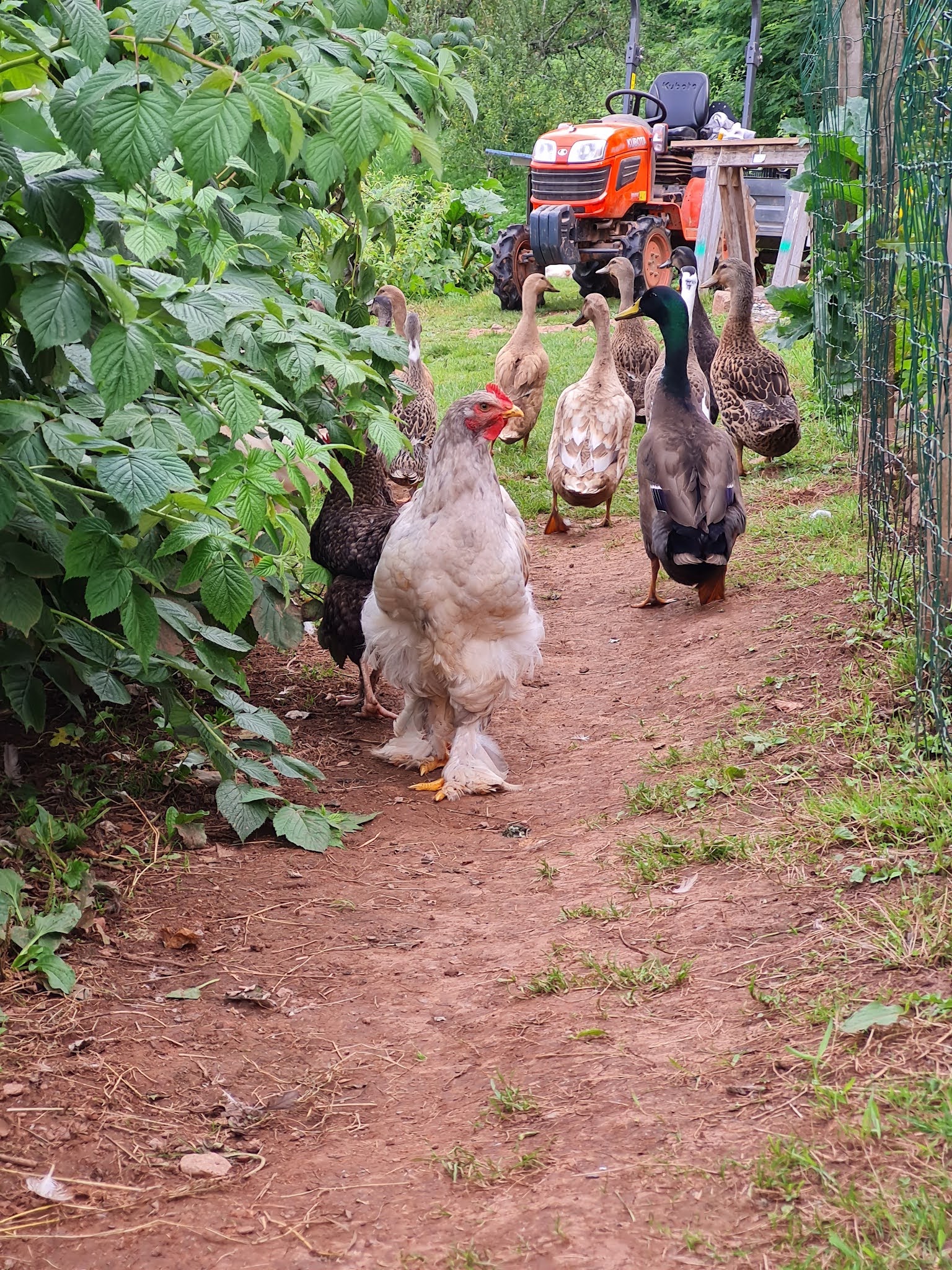 Photo n° 3 de l'avis de norbert.a fait le 22/08/2021 à 15:58