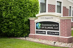 Endodontists Of Illinois, LLC image