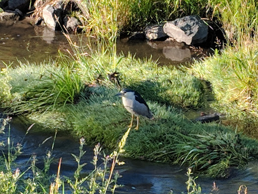 Park «The Ralston-Central Park», reviews and photos, 5850 Garrison St, Arvada, CO 80002, USA